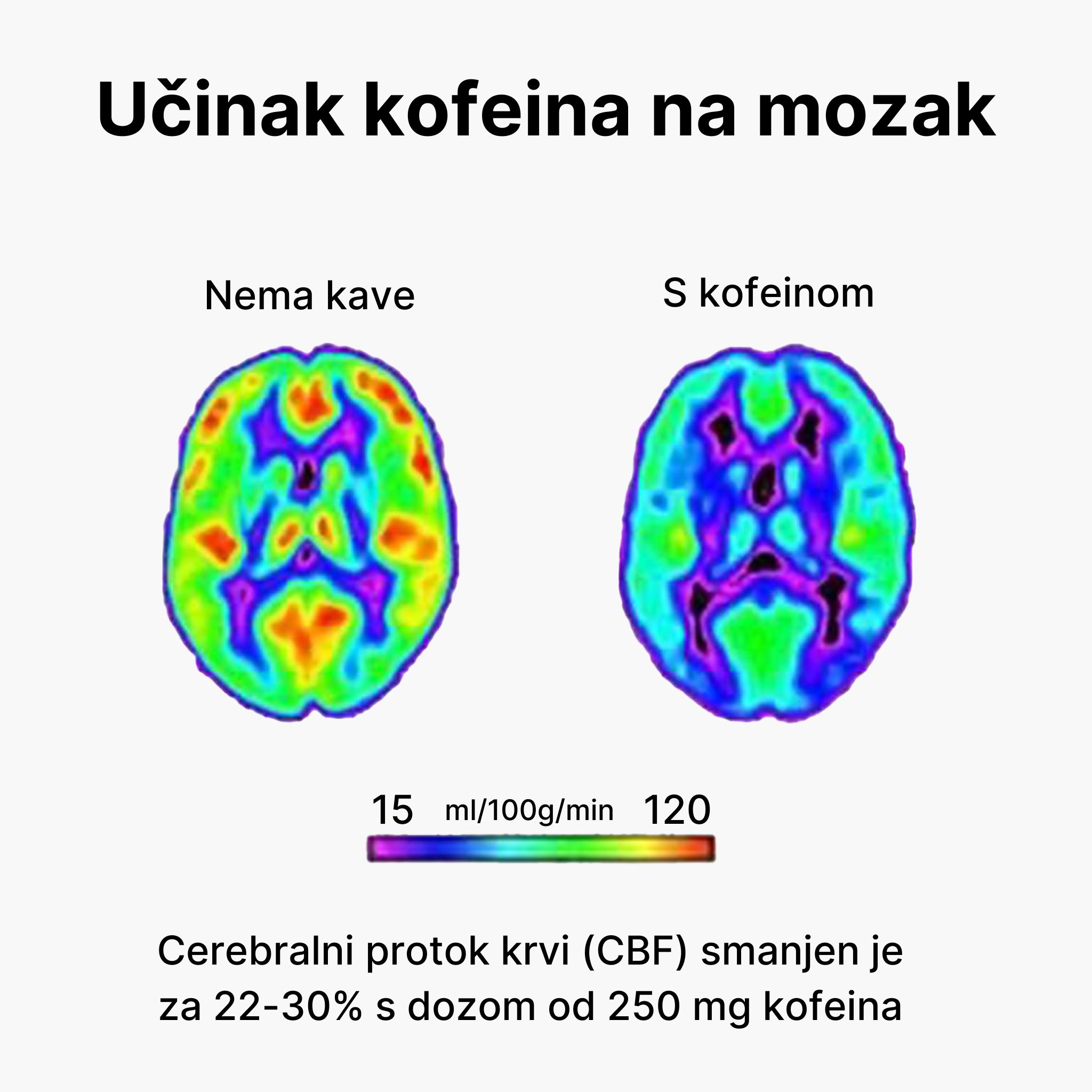 (Chorvatština) - 2024-11-10T151924.660